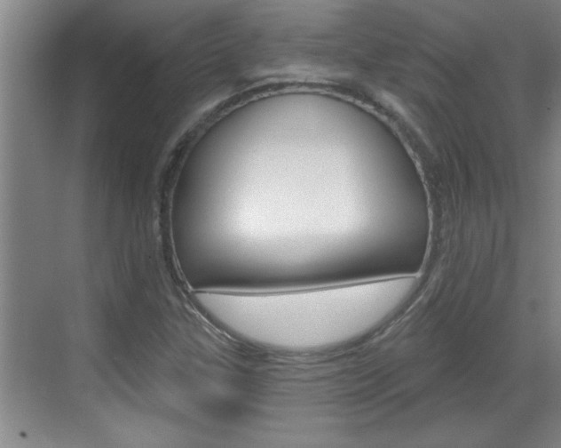 X0000070821307200606160905