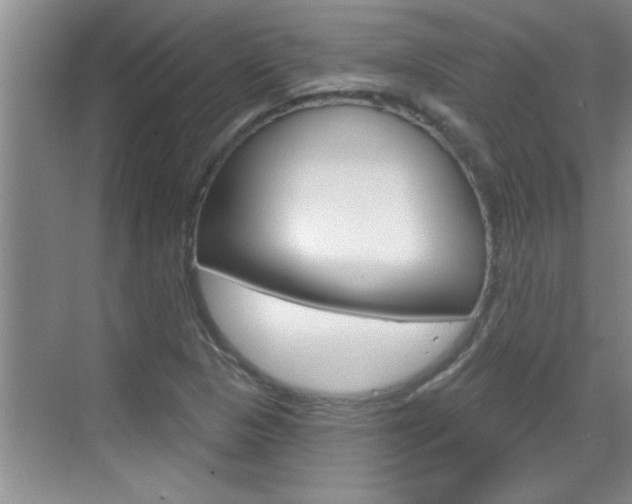 X0000070821313200606160905
