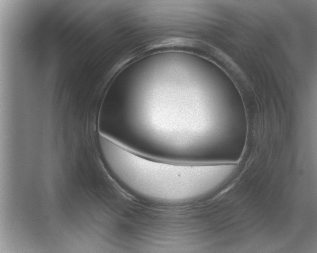 X0000070821321200606160905