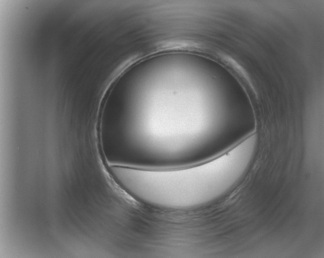 X0000070821330200606160906