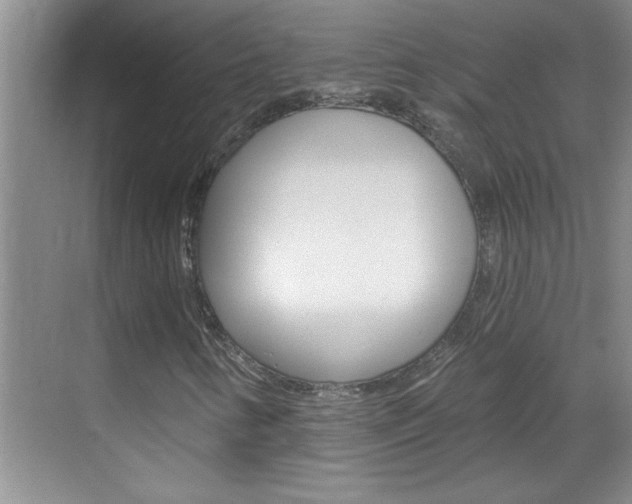 X0000070821346200606160905