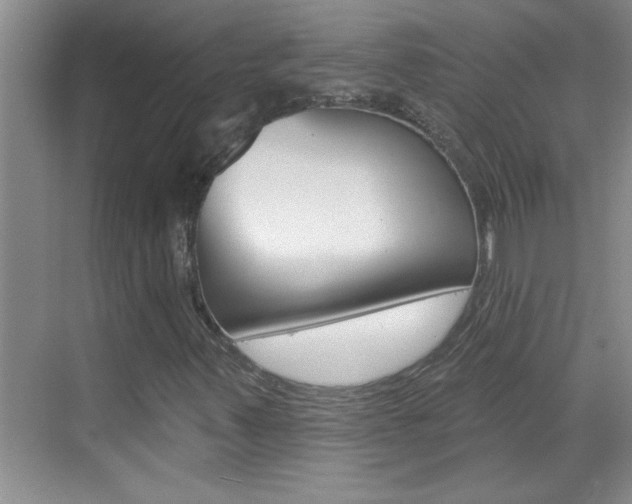X0000070821347200606160905