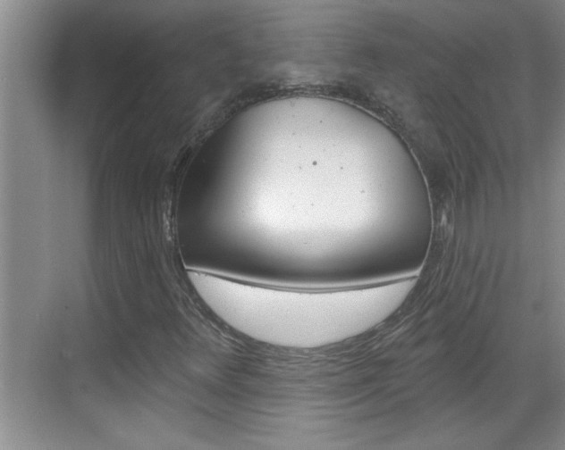 X0000070821348200606160905