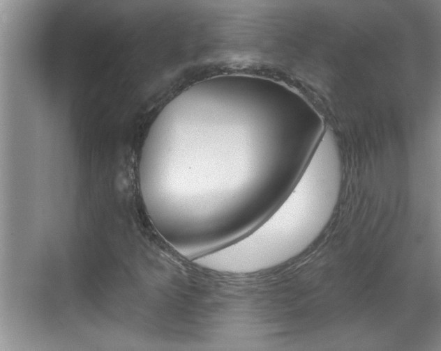 X0000070821349200606160905