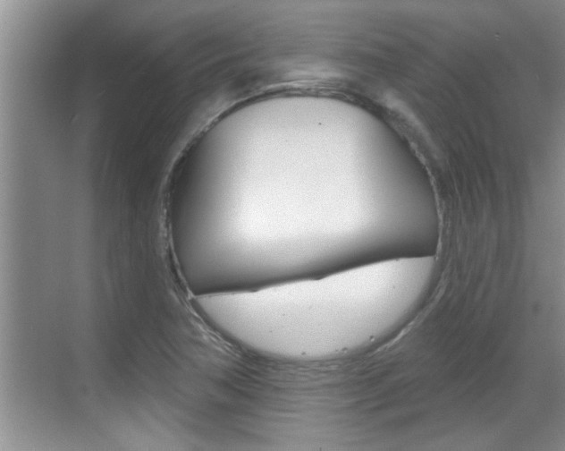 X0000070821362200606160905