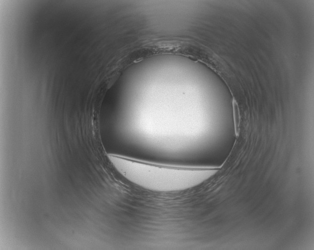 X0000070821394200606160903