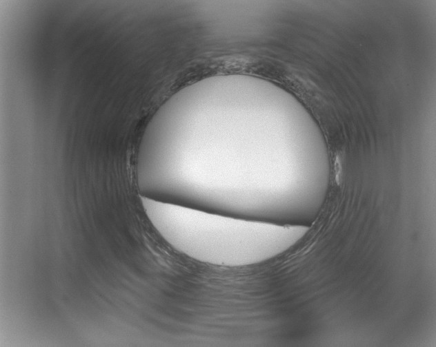 X0000070821395200606160903