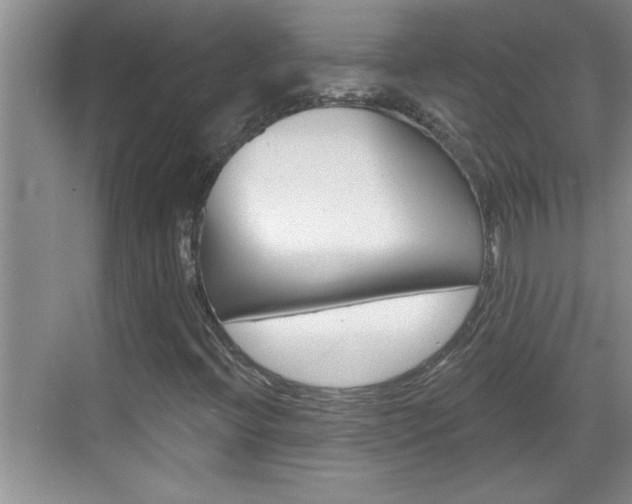 X0000070821396200606160903