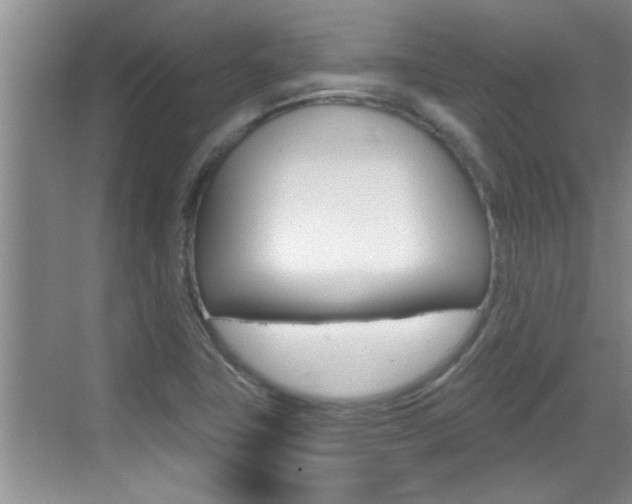X0000070821411200606160904