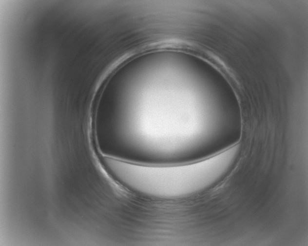 X0000070821418200606160904