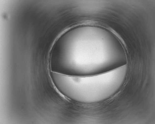X0000070821437200606160904