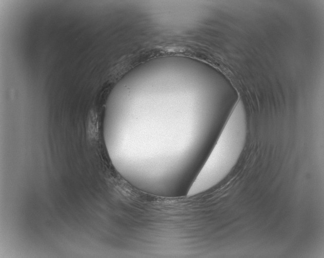 X0000070821443200606160903