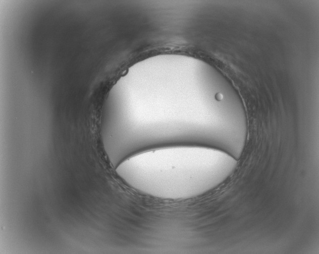X0000070821447200606160903
