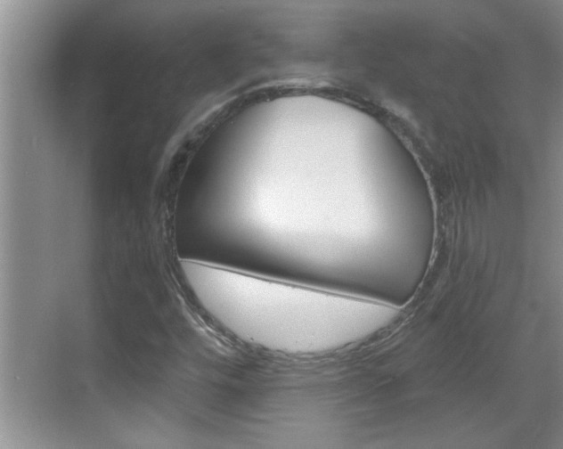 X0000070821448200606160903
