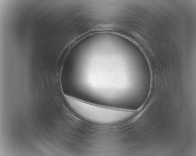 X0000070821449200606160903