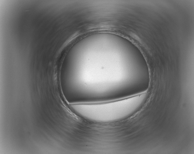 X0000070821450200606160903