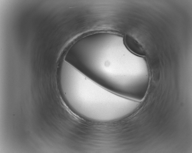 X0000070821452200606160903