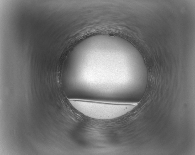 X0000070821490200606160902