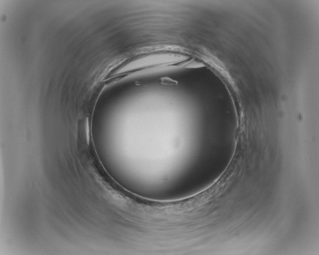 X0000070820013200606161049