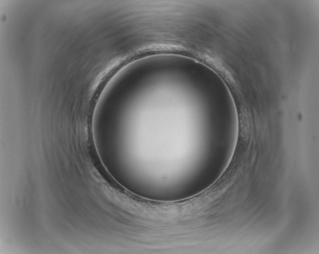 X0000070820015200606161049