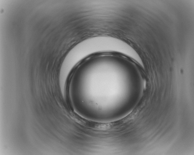 X0000070820084200606161048
