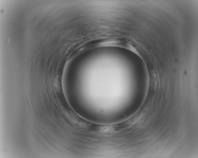 X0000070820088200606161049