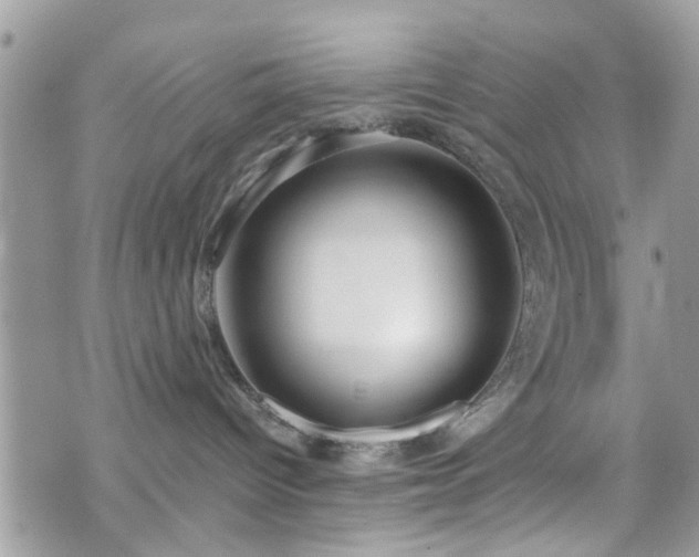 X0000070820096200606161049
