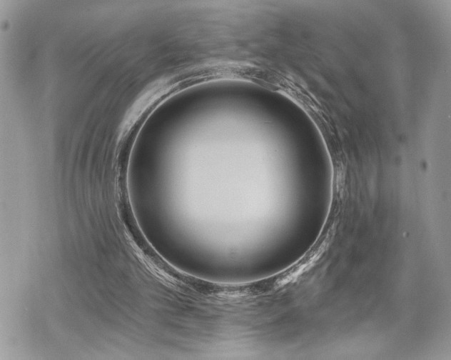 X0000070820101200606161048