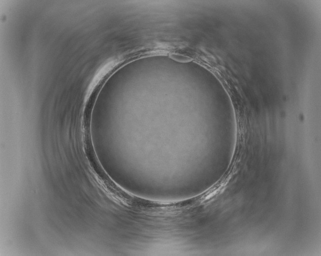 X0000070820102200606161048