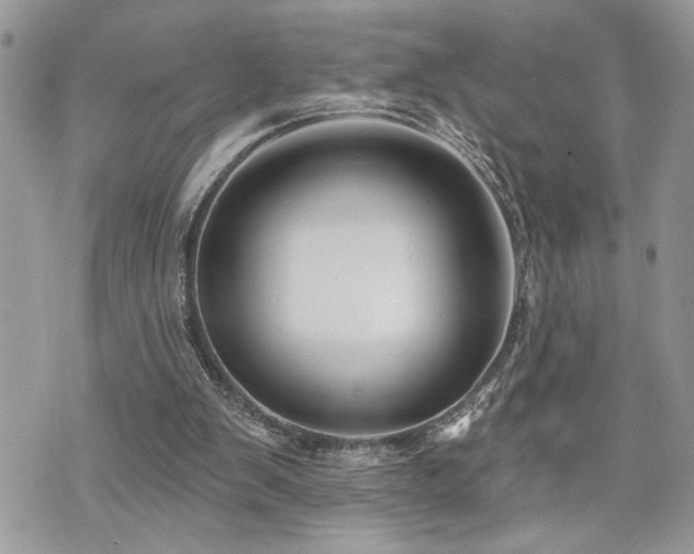 X0000070820103200606161048