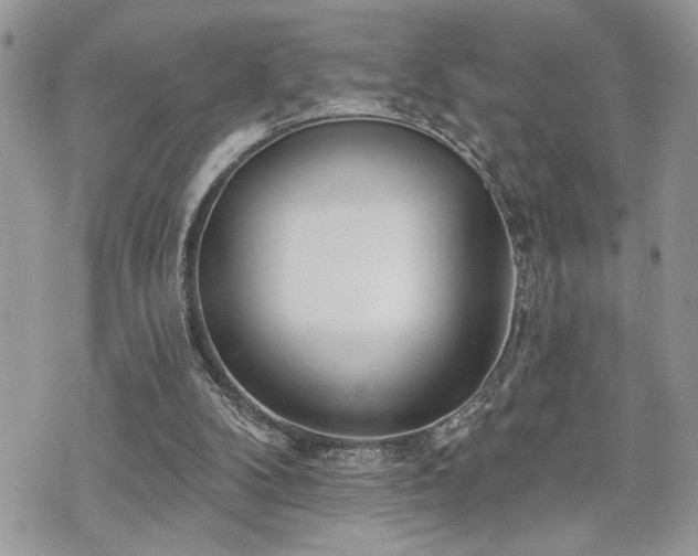 X0000070820104200606161048