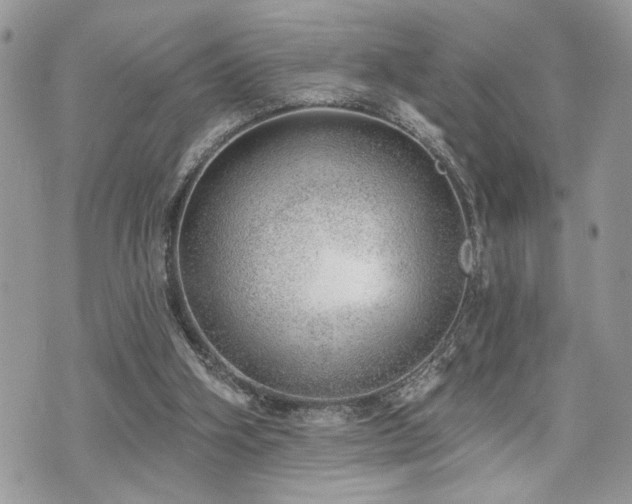 X0000070820106200606161048