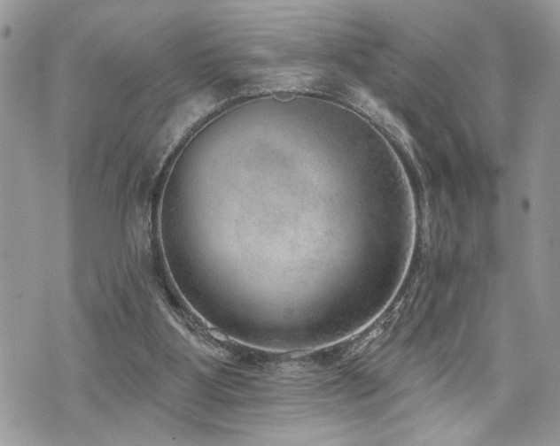 X0000070820107200606161048