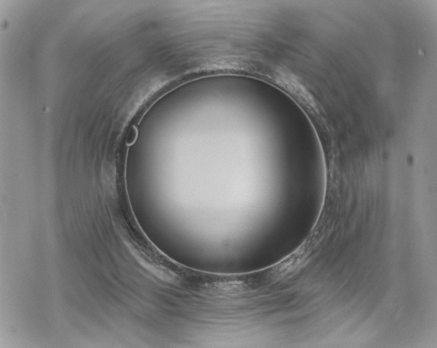 X0000070820108200606161048