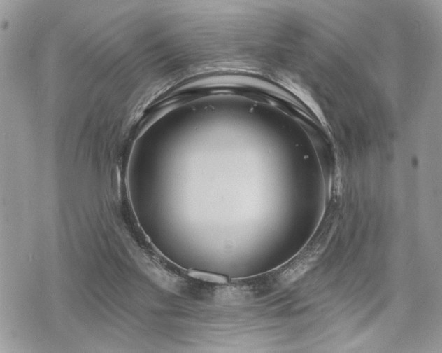 X0000070820109200606161048