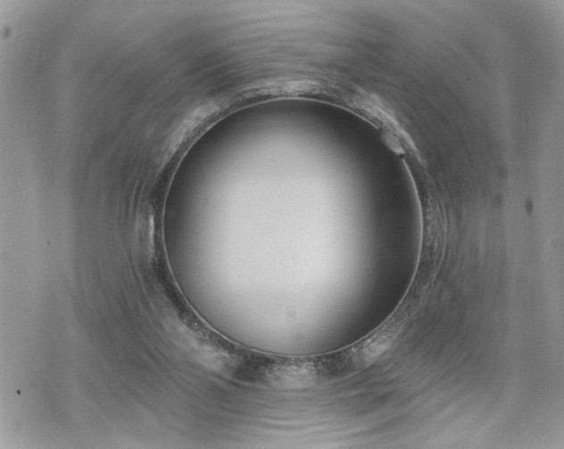 X0000070820110200606161048