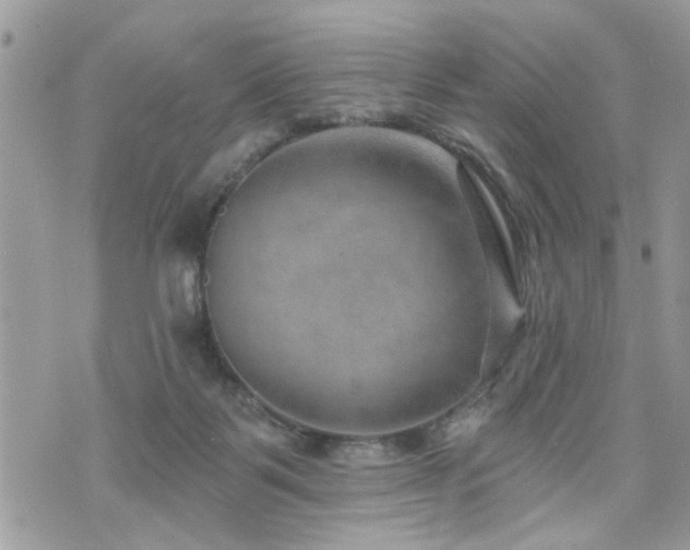 X0000070820123200606161047