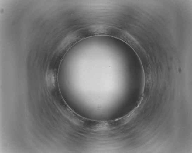 X0000070820124200606161047