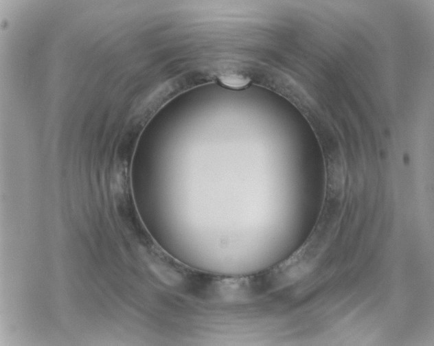 X0000070820126200606161047