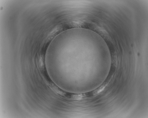 X0000070820131200606161047