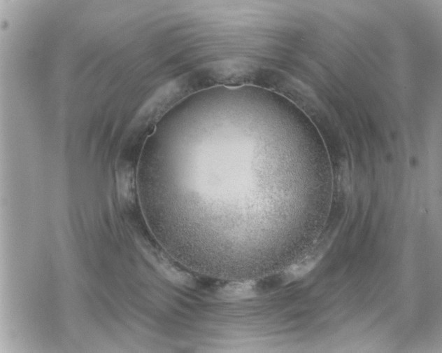 X0000070820138200606161047