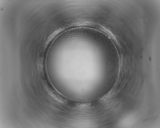 X0000070820155200606161047
