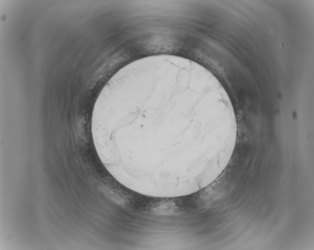 X0000070820162200606161047