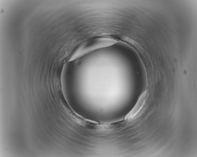 X0000070820192200606161047