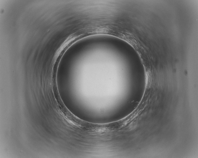 X0000070820195200606161046