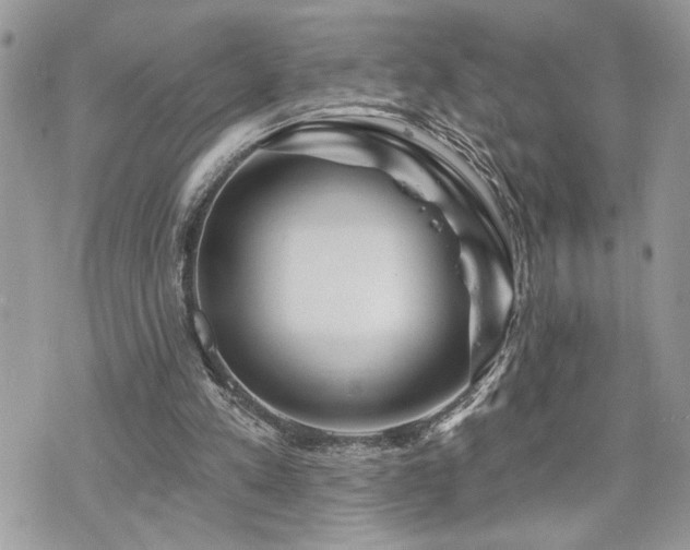 X0000070820197200606161046