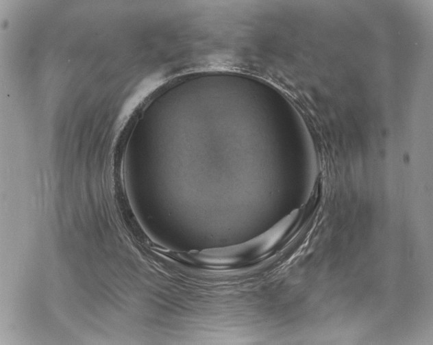 X0000070820200200606161046