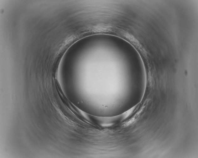 X0000070820201200606161046