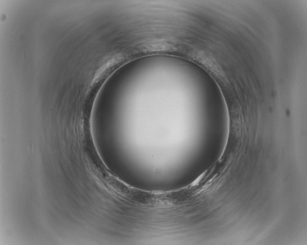 X0000070820207200606161046