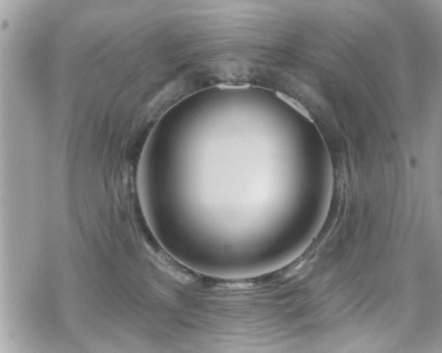 X0000070820233200606161046